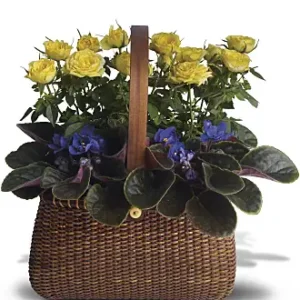 Garden To Go Basket